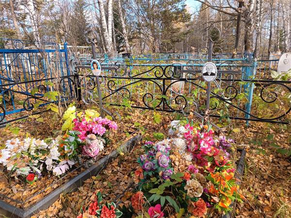 Доброгорских Елена Болеслово
