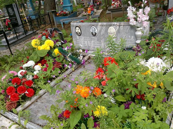 Шитиков Степан Александрович
