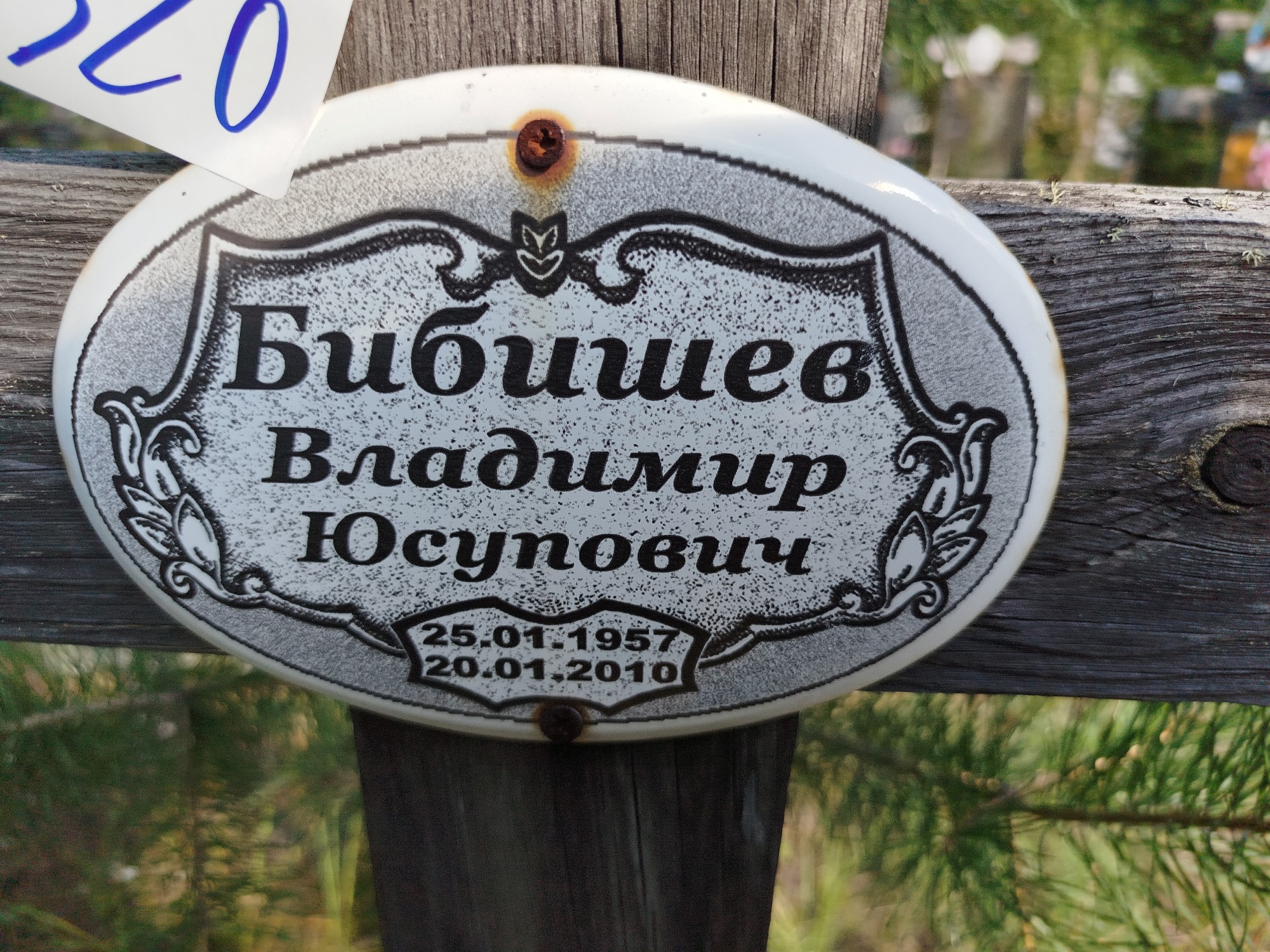 Бибишев Владимир Юсупович