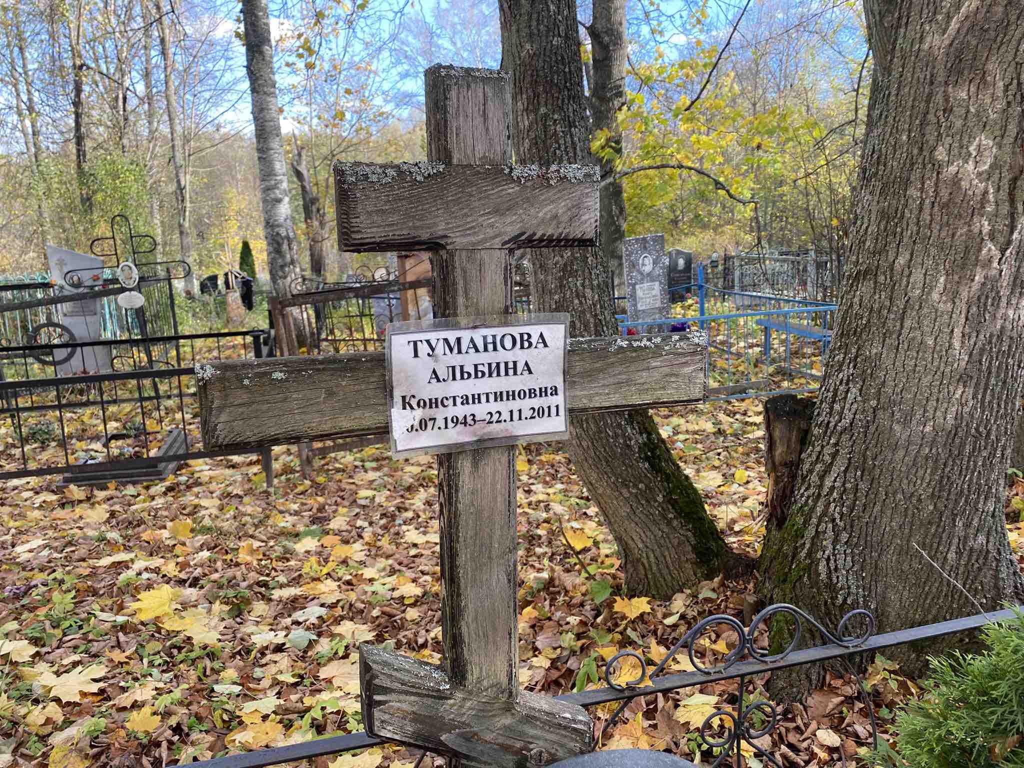 Туманова Альбина Константиновна