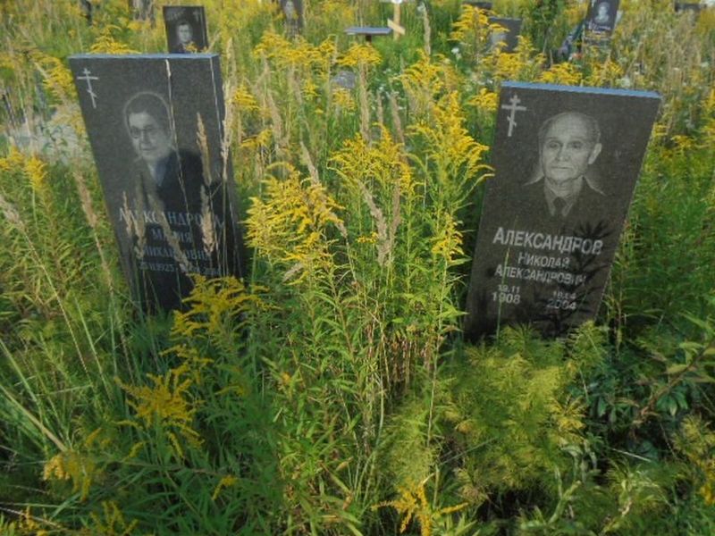 Александров Николай Александрович