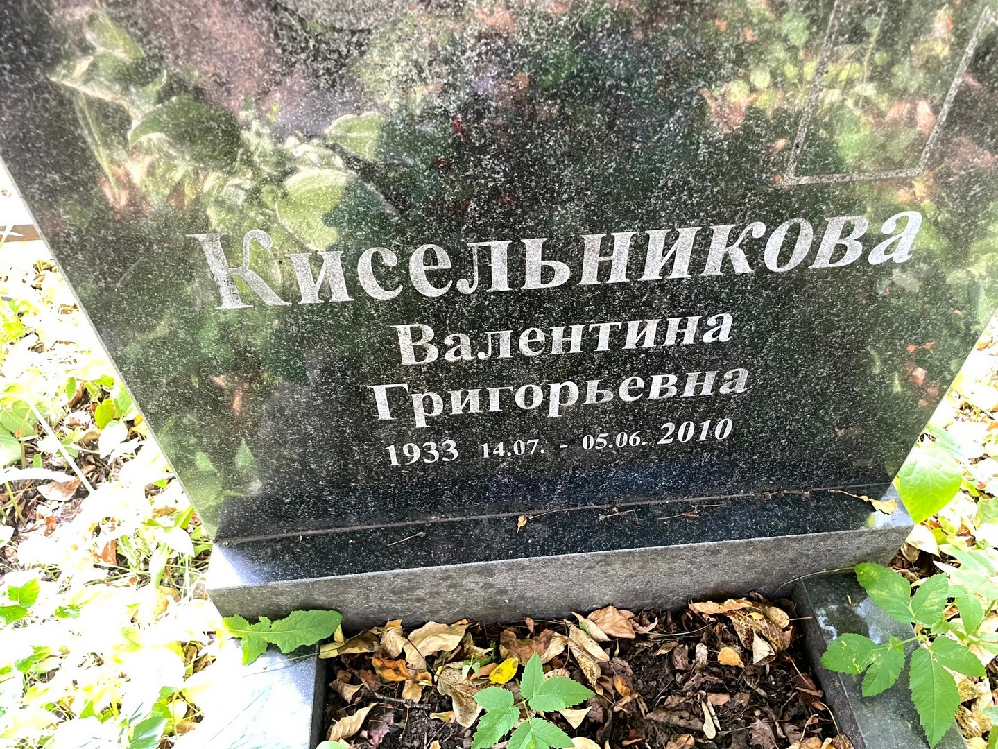 Кисельникова