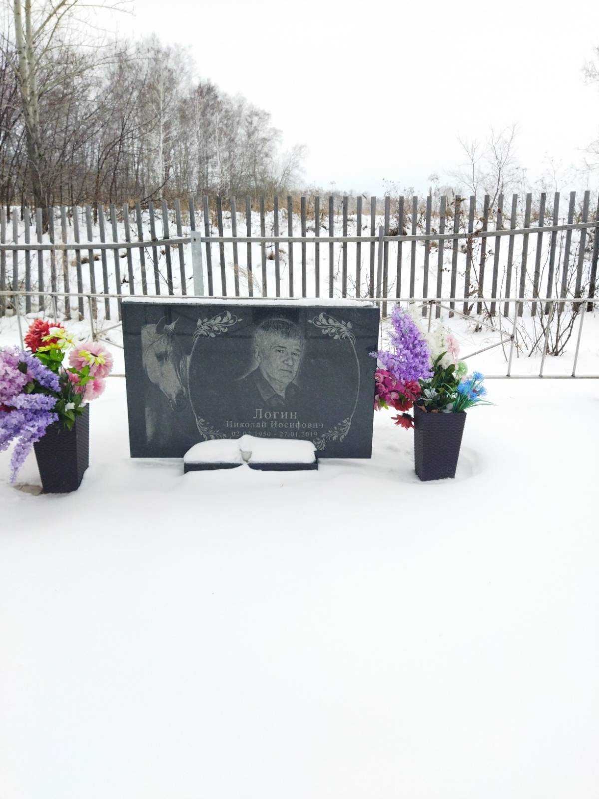 Логин Николай Иосифович