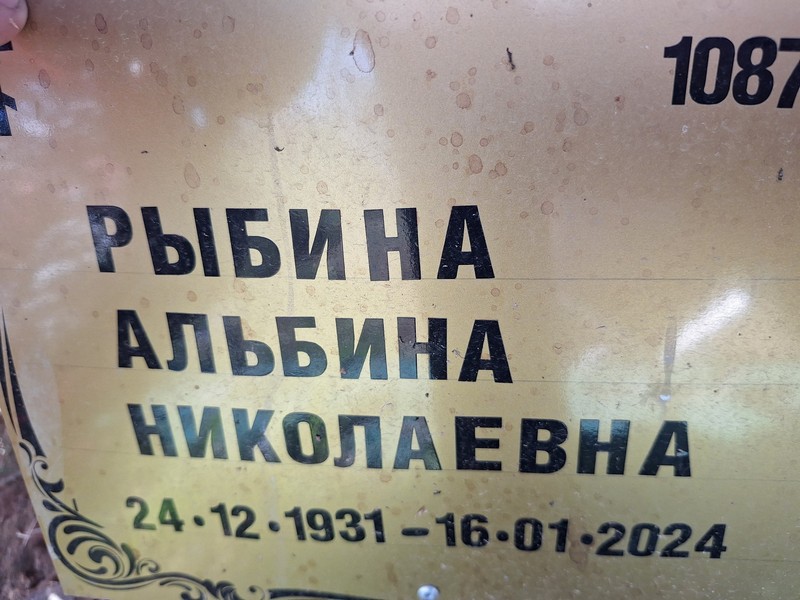 Альбина Рыбина Николаевна