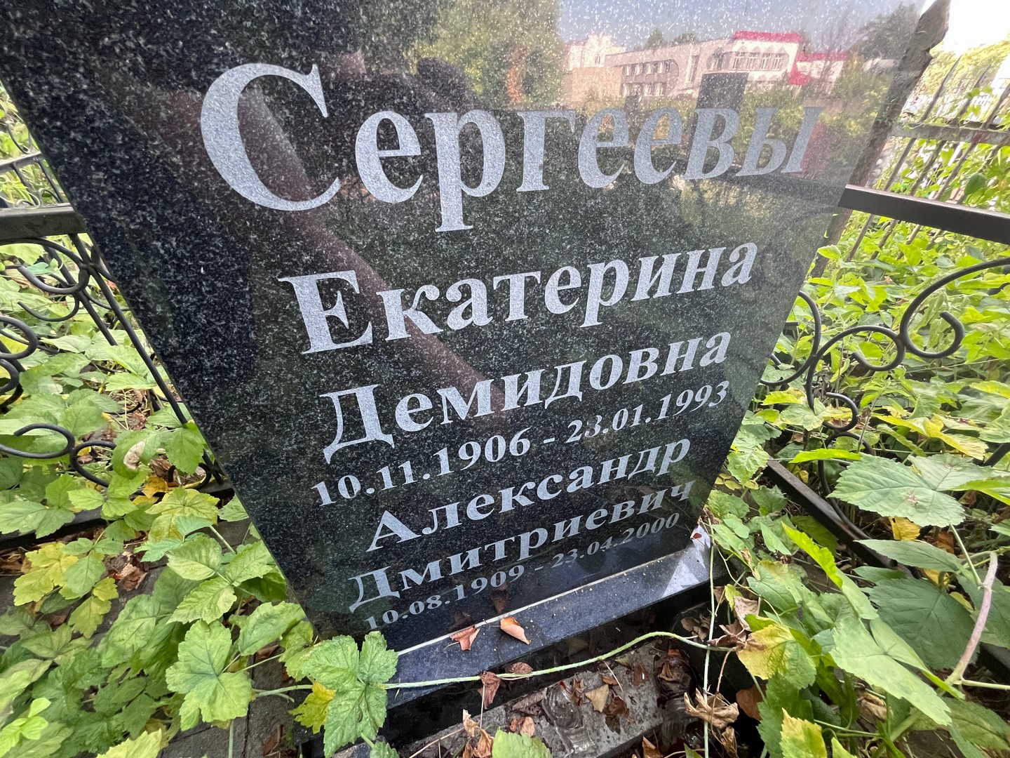Сергеева