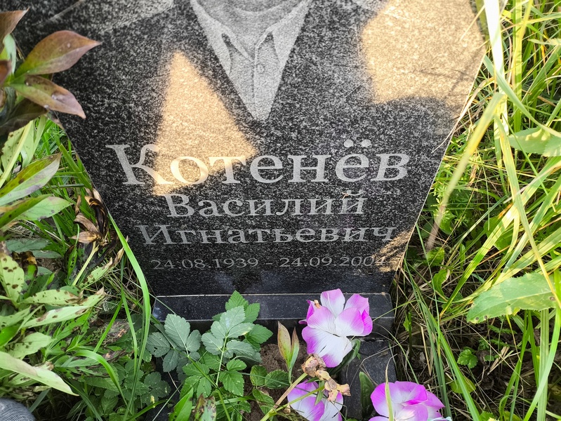Котенев