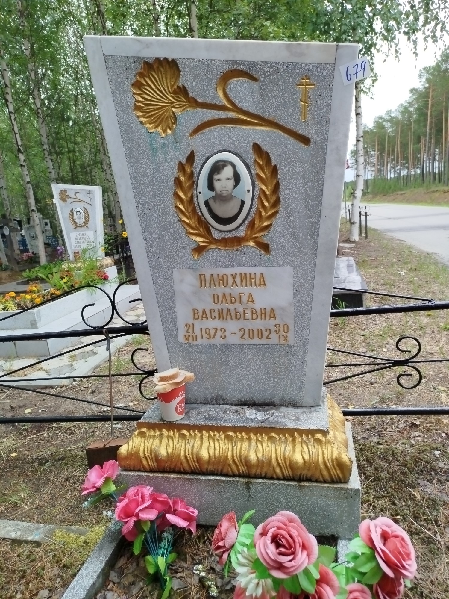 Плюхина Ольга Васильевна