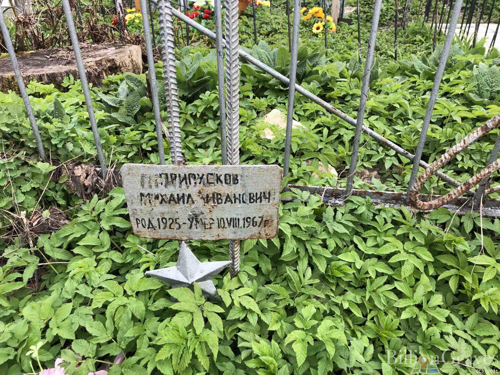 Припусков Михаил Иванович