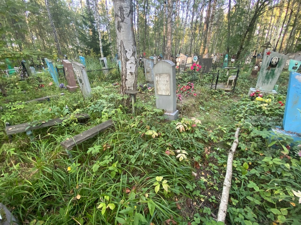Лисина Анастасия Сергеевна