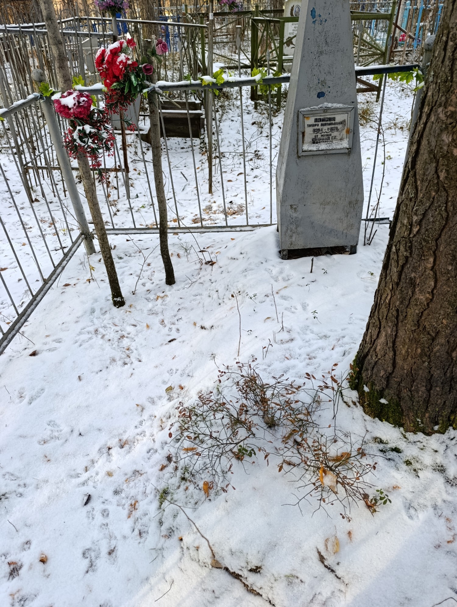 Панова Тамара Анатольевна