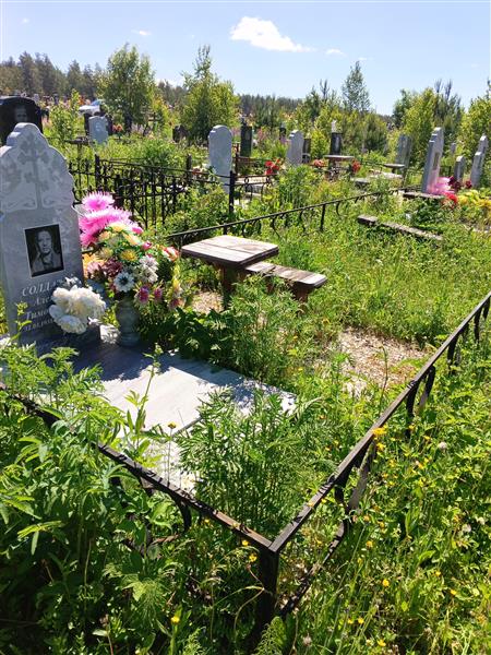 Жураховский Николай Васильевич