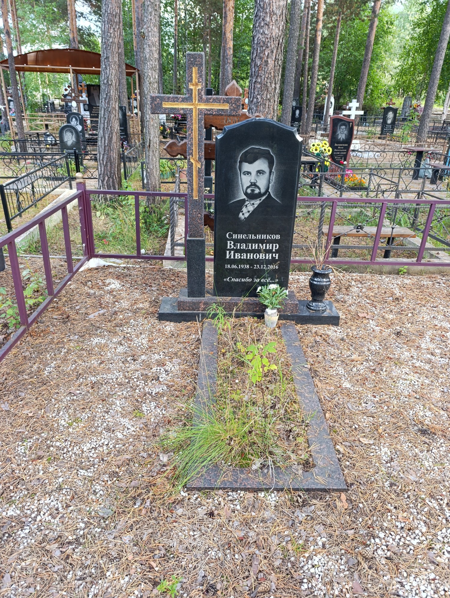 Синельников Влдимир Иванович