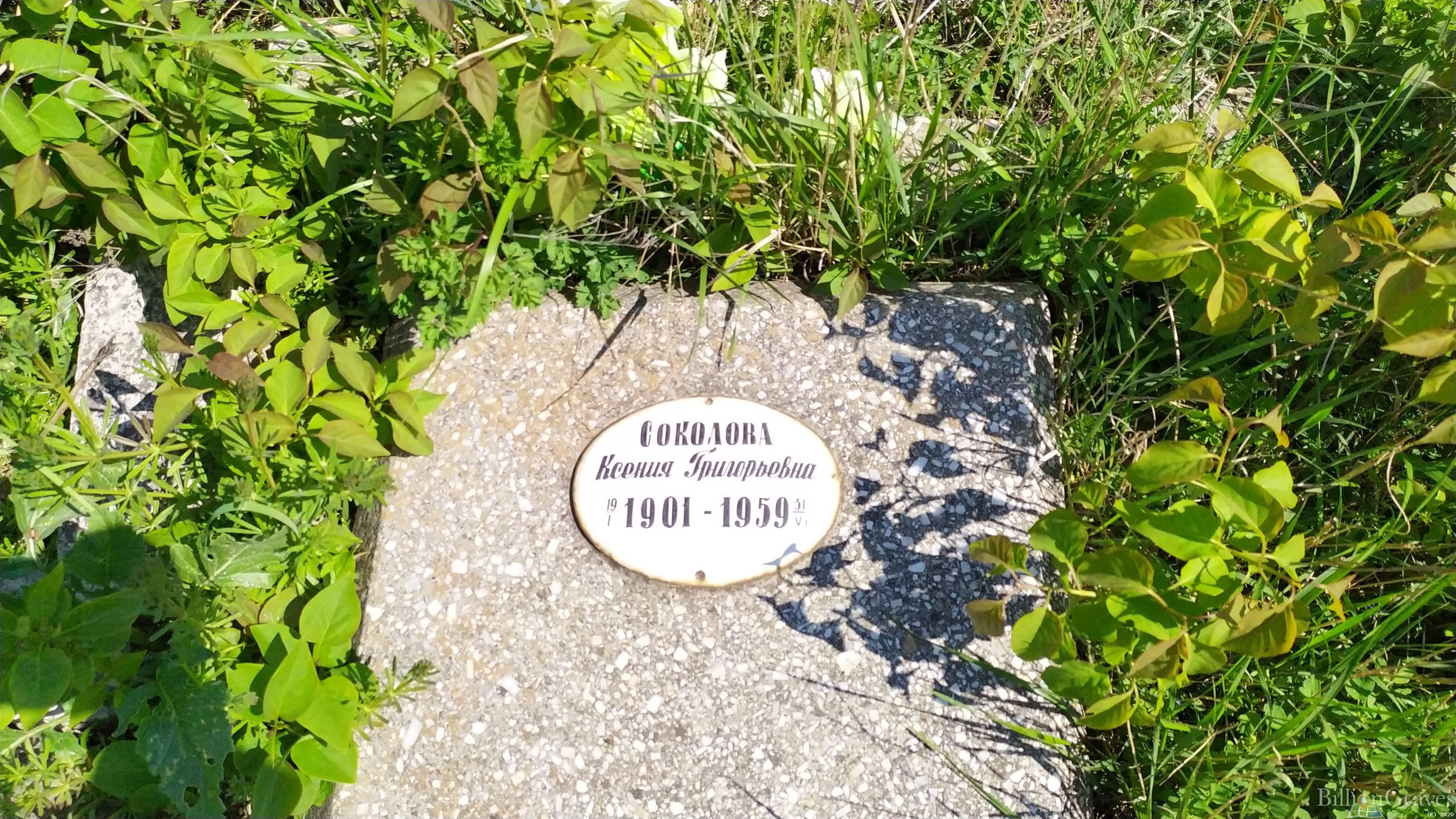 Соколова Ксения Григорьевна