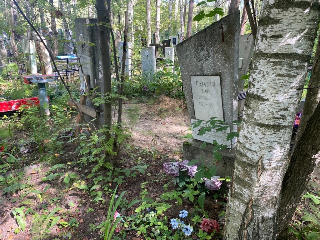 Гамоля Павел Иванович