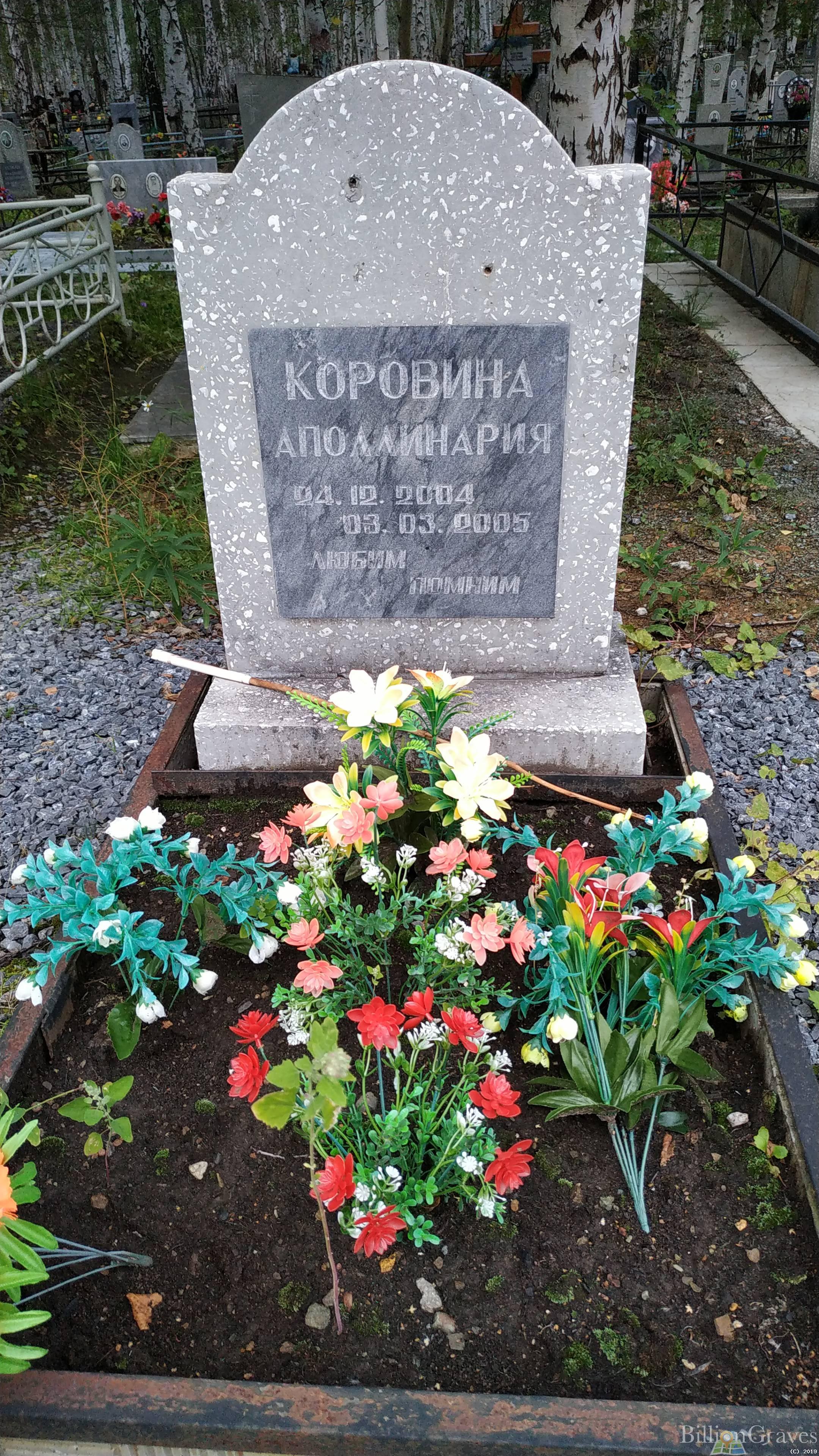 Коровина Аполлинария