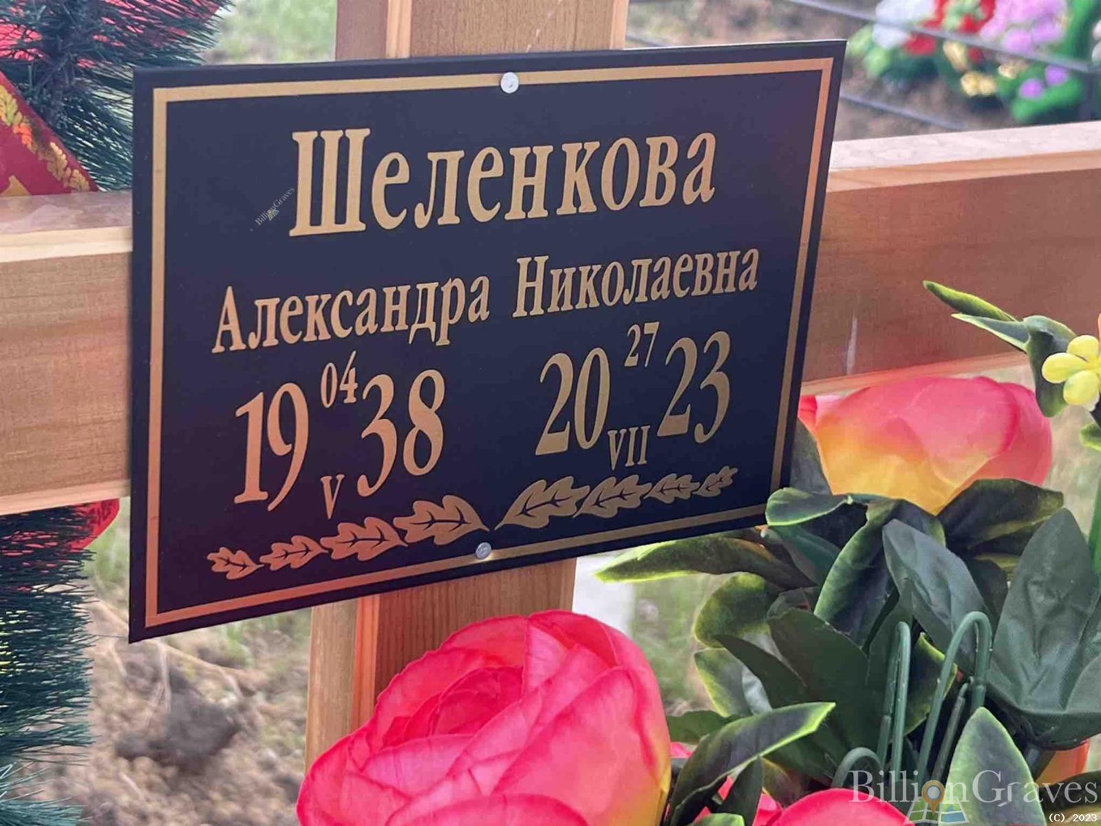 Шеленкова Александра Николаевна