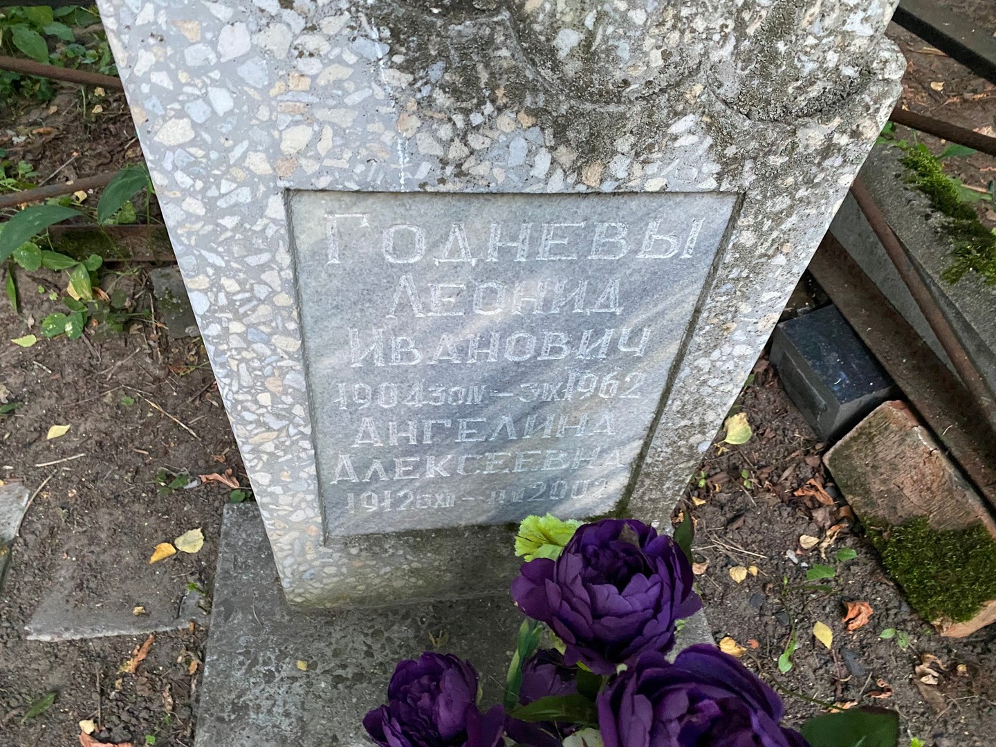 Годнев