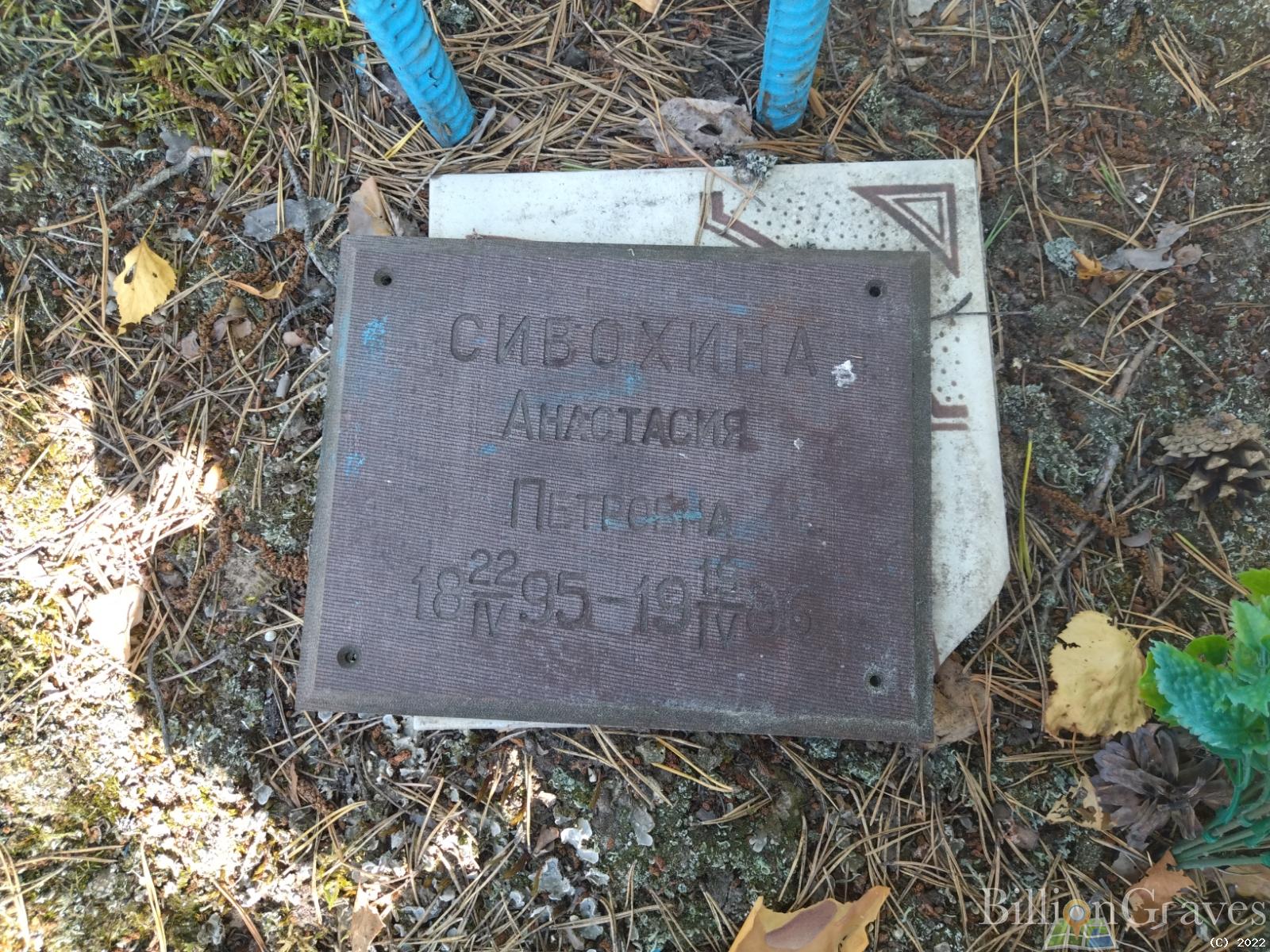 Сивохина Анастасия Петровна