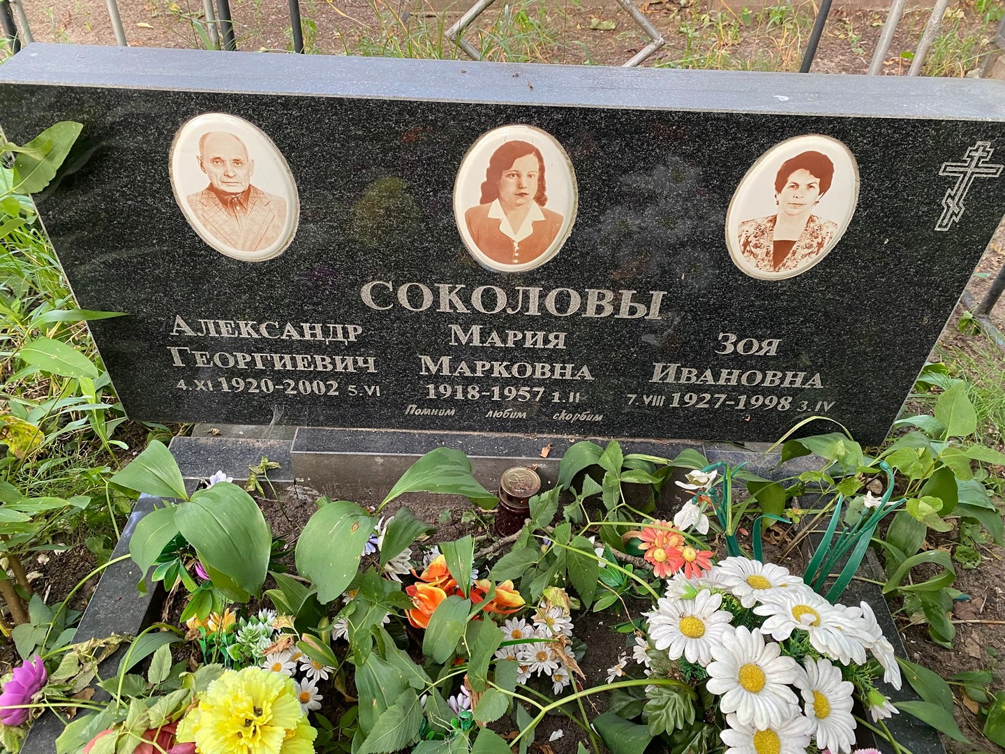 Соколов
