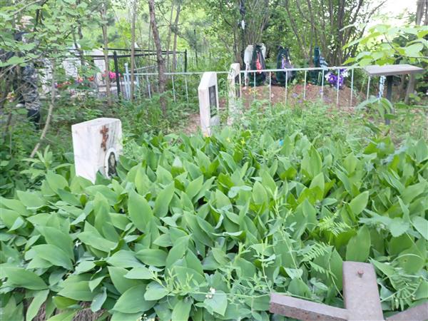 Лукьянчикова Татьяна Иосифовна
