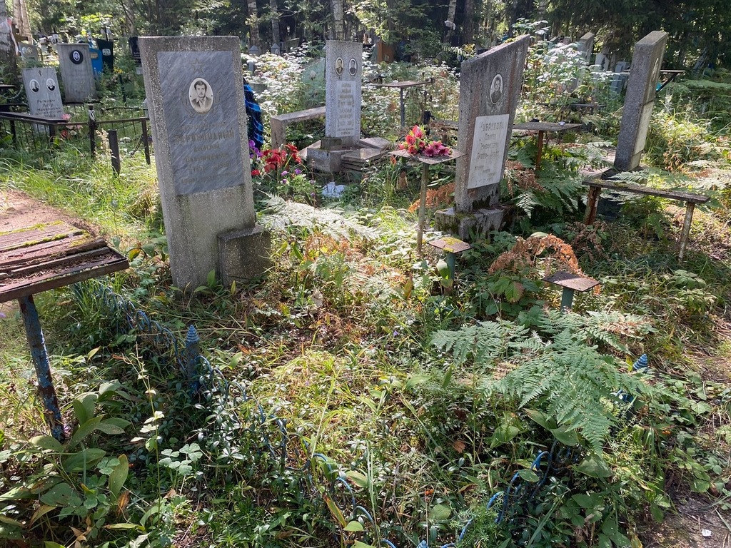 Заровнядный Дмитрий Владимирович