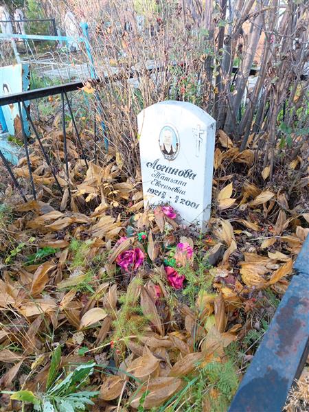 Логинова Татьяна Евгеньевна