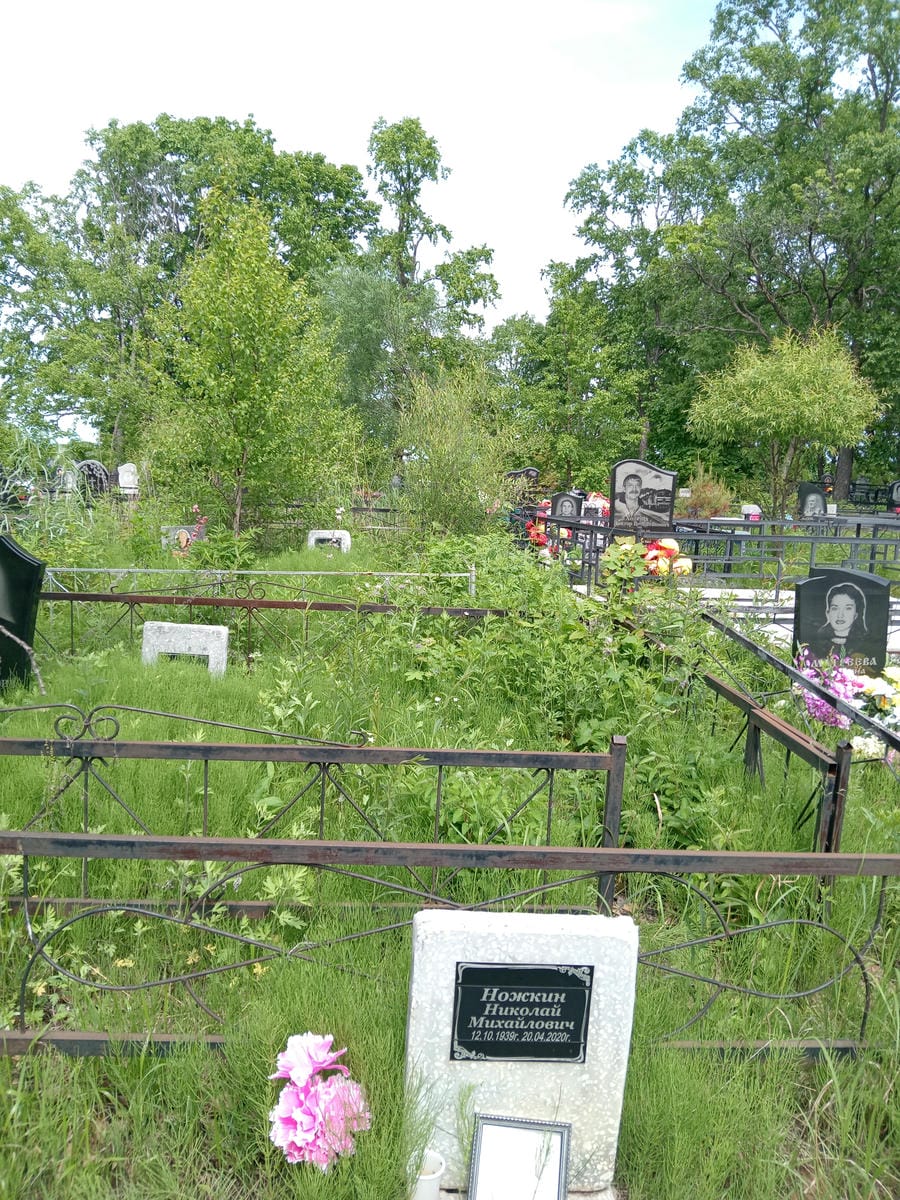 Ножкин Николай Михайлович