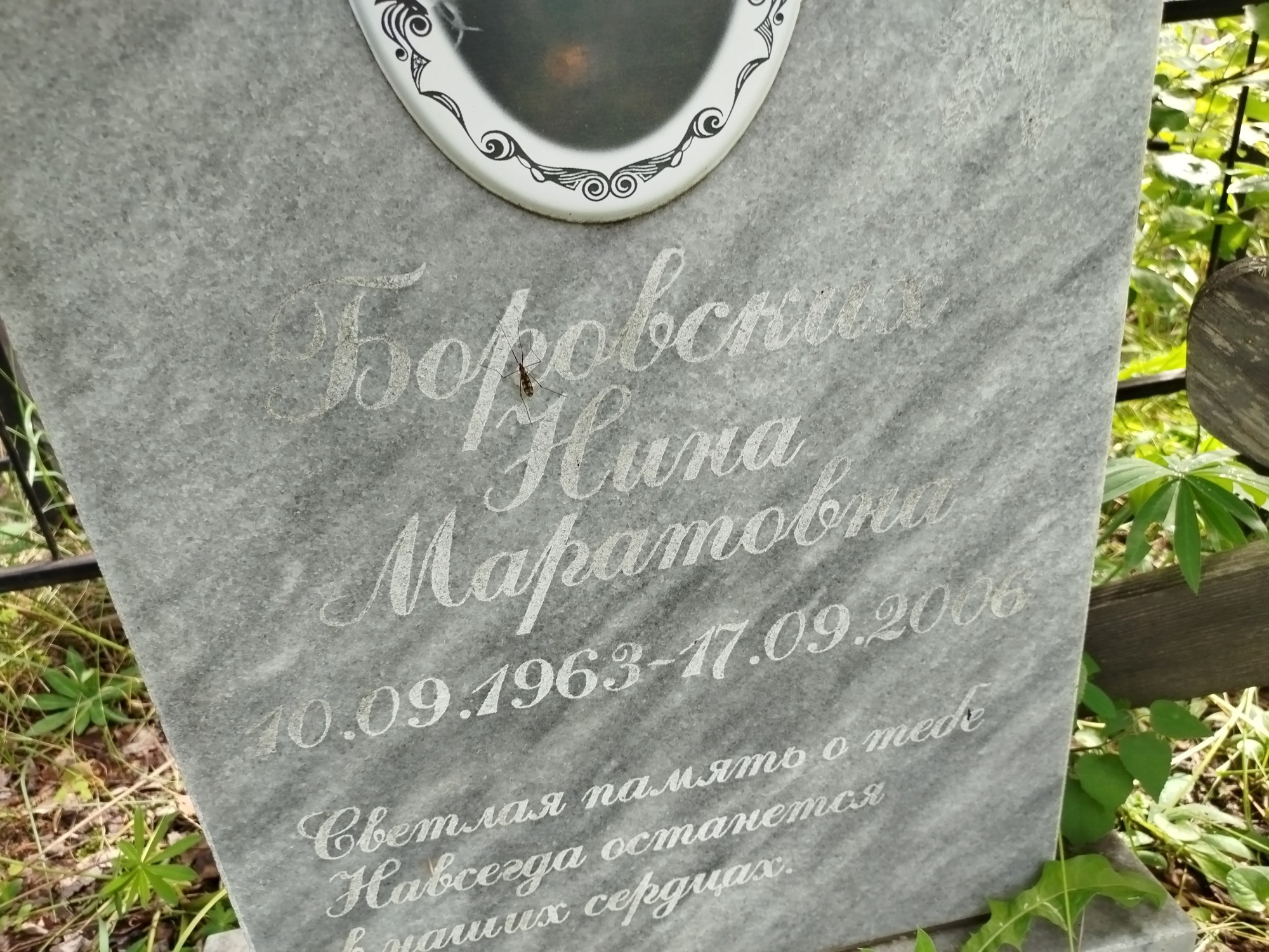 Боровская Нина Маратовна