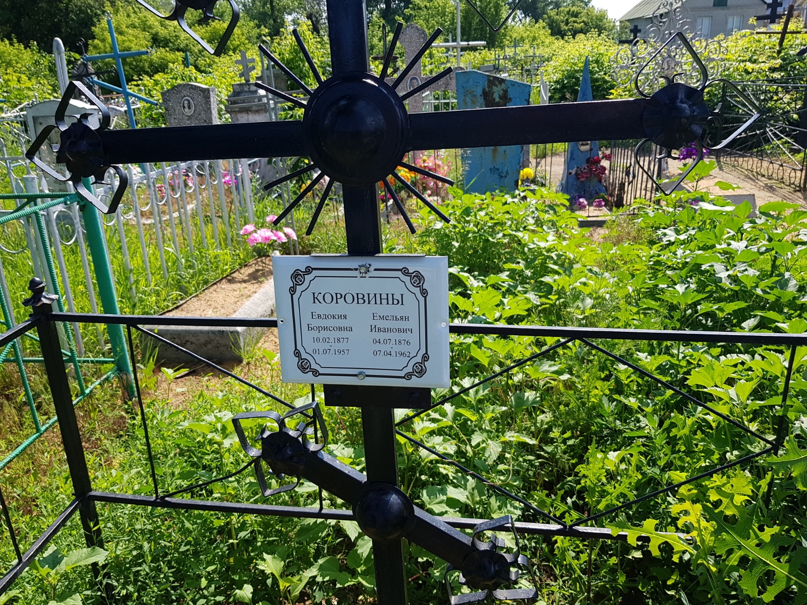 Коровина Евдокия Борисовна