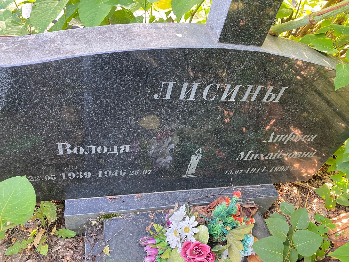 Лисин Лисин