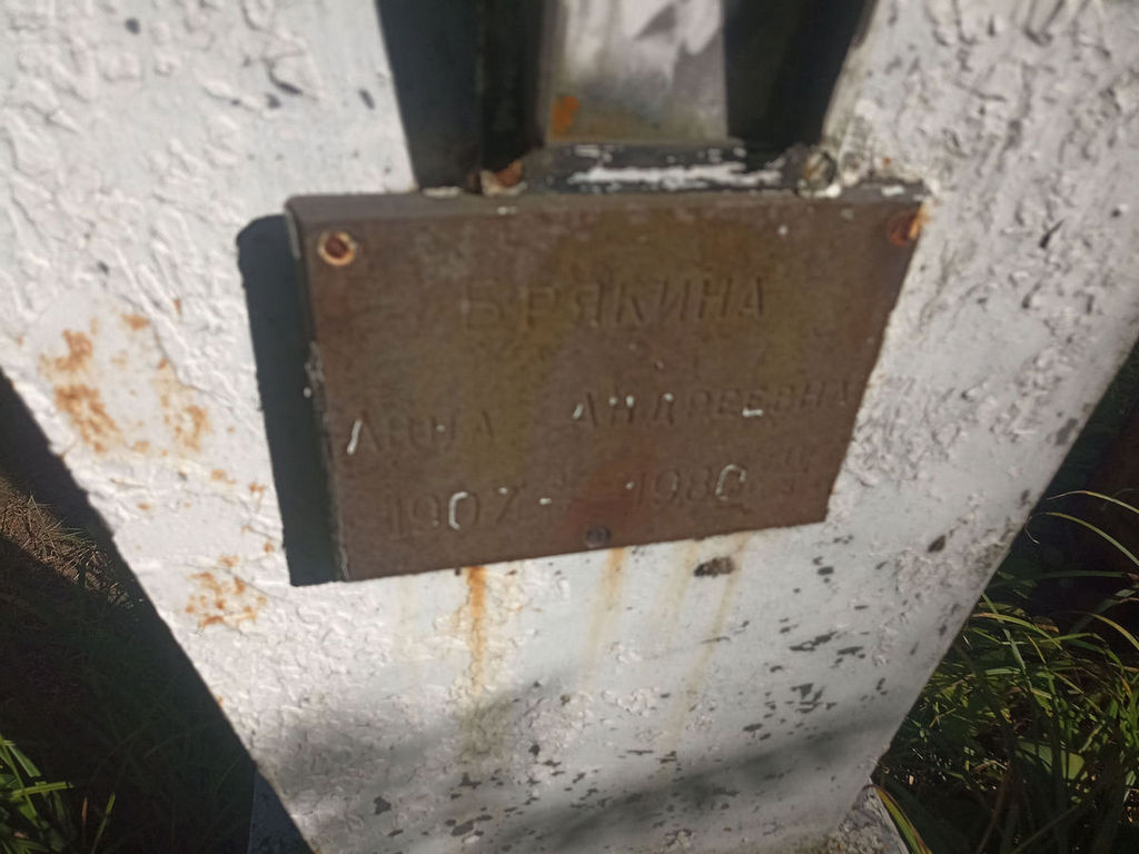 Брякина Анна Андреевна