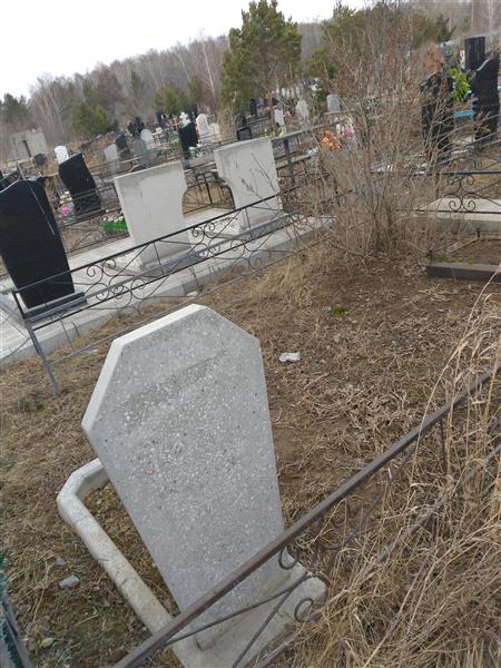 Волокитин Николай Николаевич