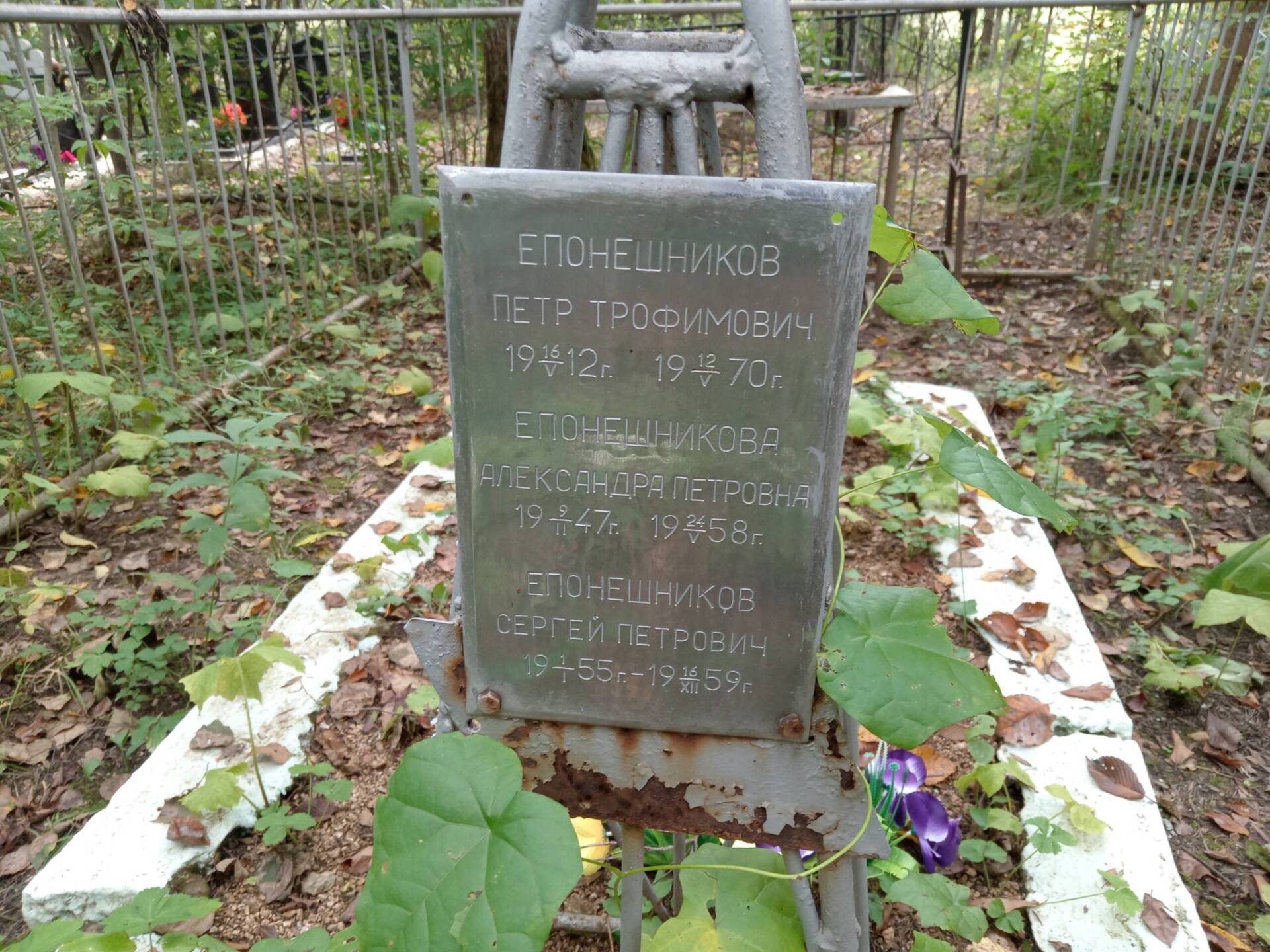 Епонешникова Александра Петровна