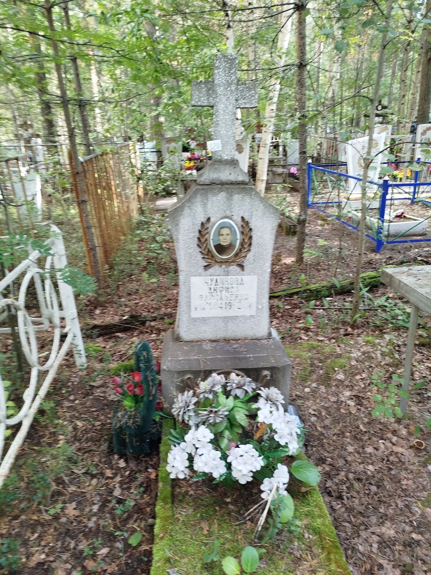 Чудинова Анфиса Васильевна