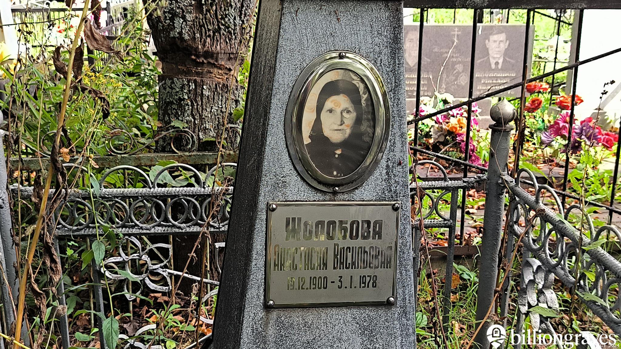 Жолобова Анастасия Васильевна