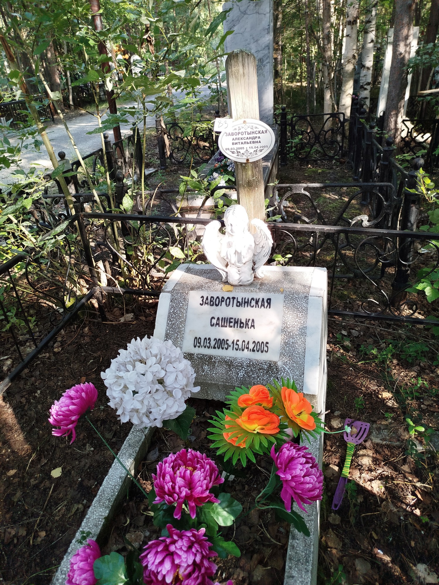 Заворотынская Александра Витальевна
