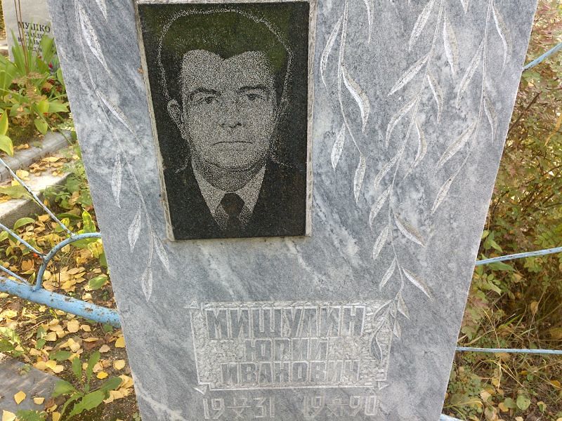 Мишулин