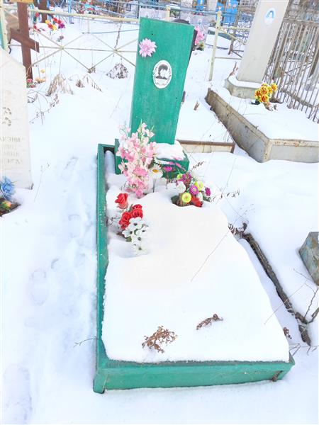 Дубровина Елена Витальевна