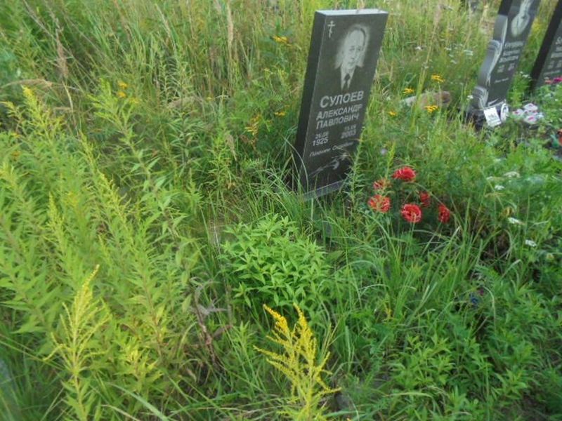 Сулоев Александр Павлович