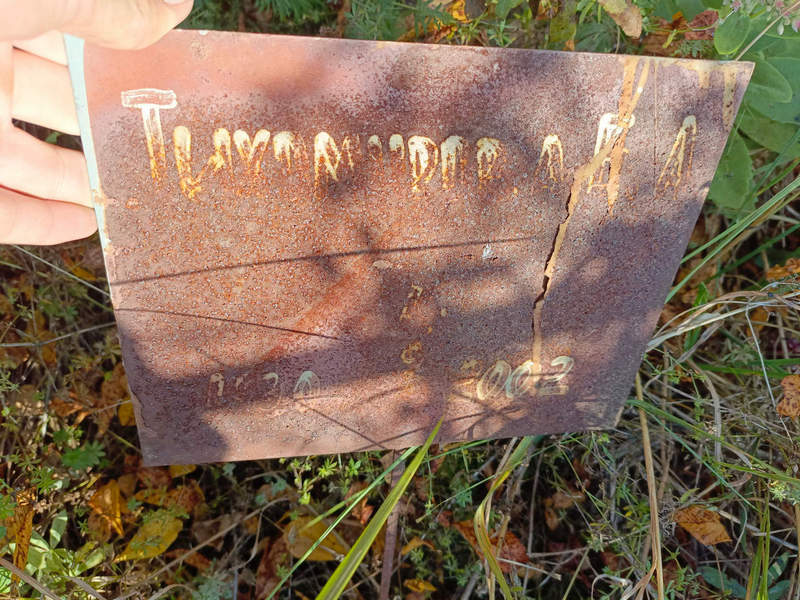 Е. Тихомирова А.