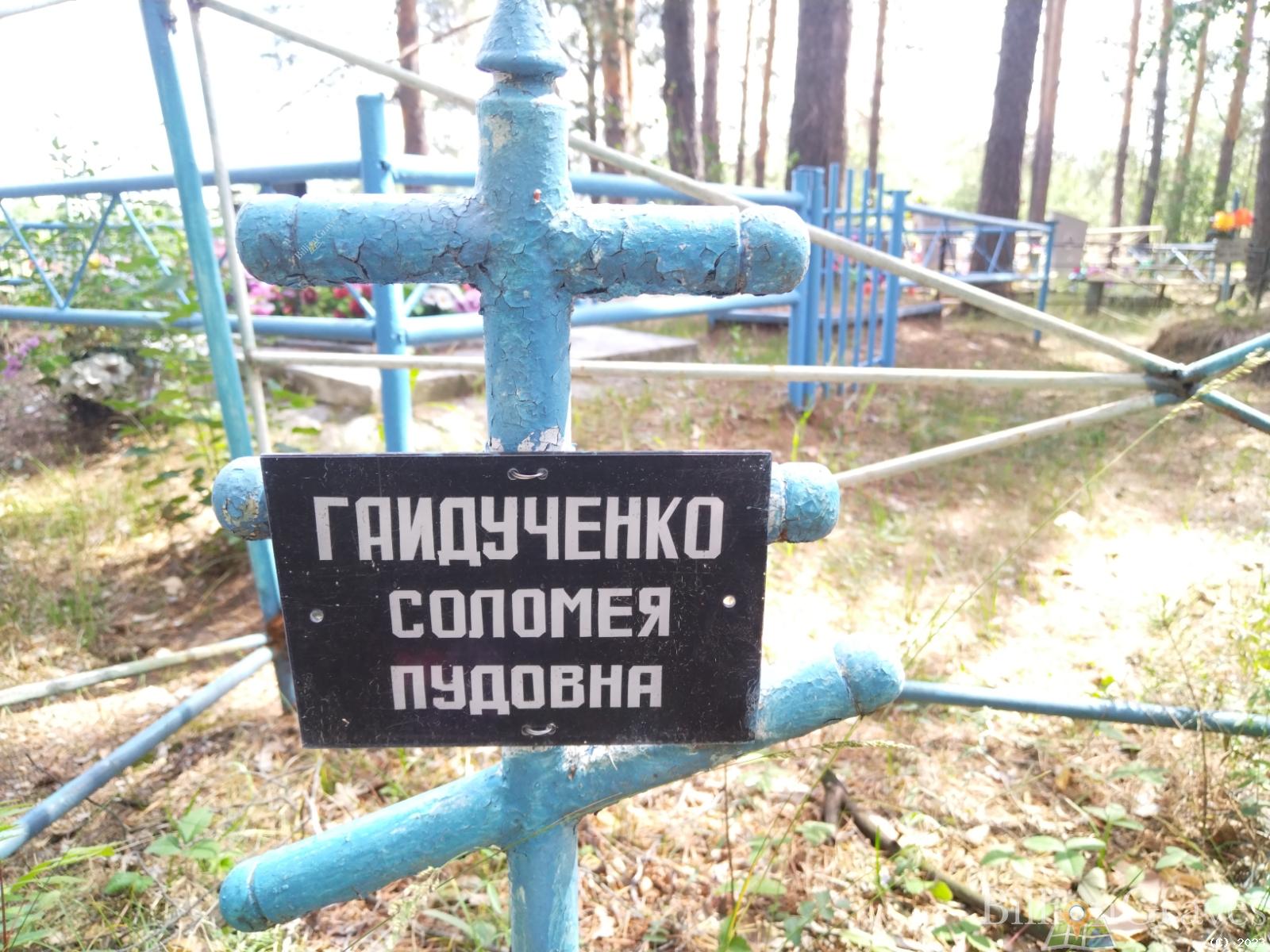 Гайдученко Николай Павлович