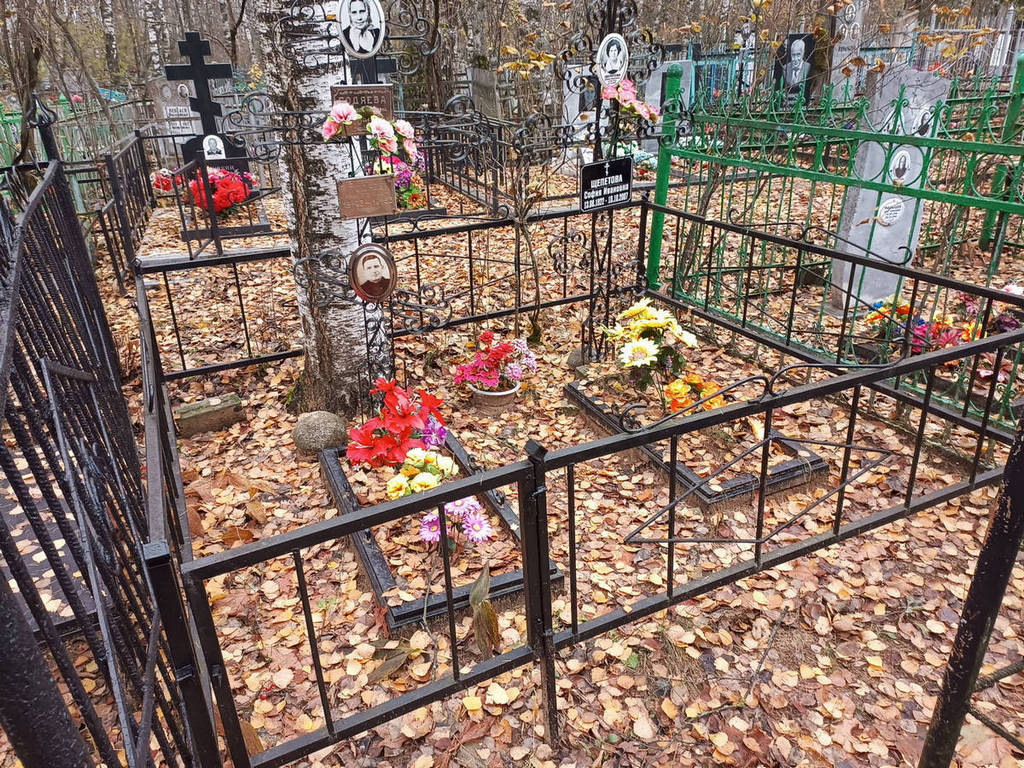Годяева Анастасия Ивановна