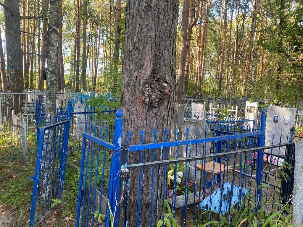 Шарова Вера Григорьевна