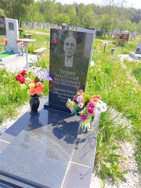 Левин Анатолий Васильевич