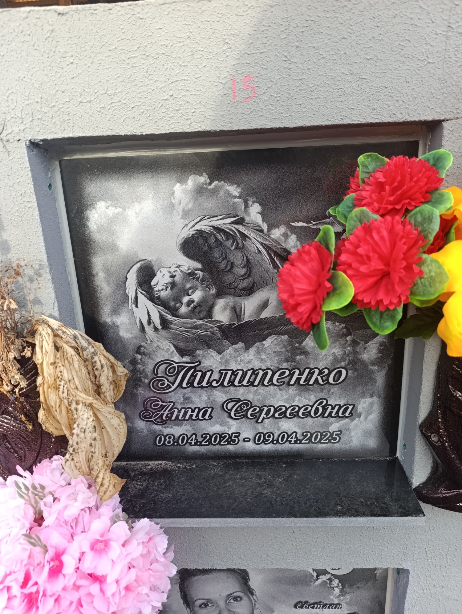Пилипенко Анна Сергеевна