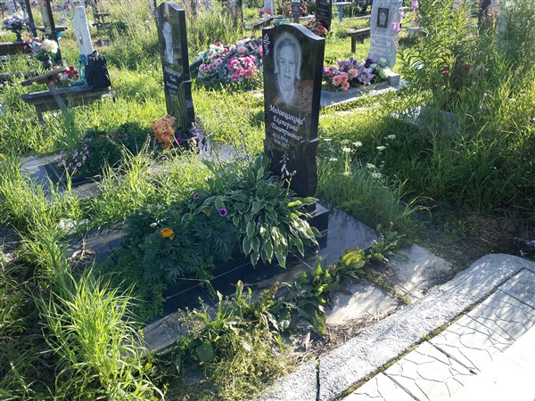 Медовщикова Екатерина Дмитриевна