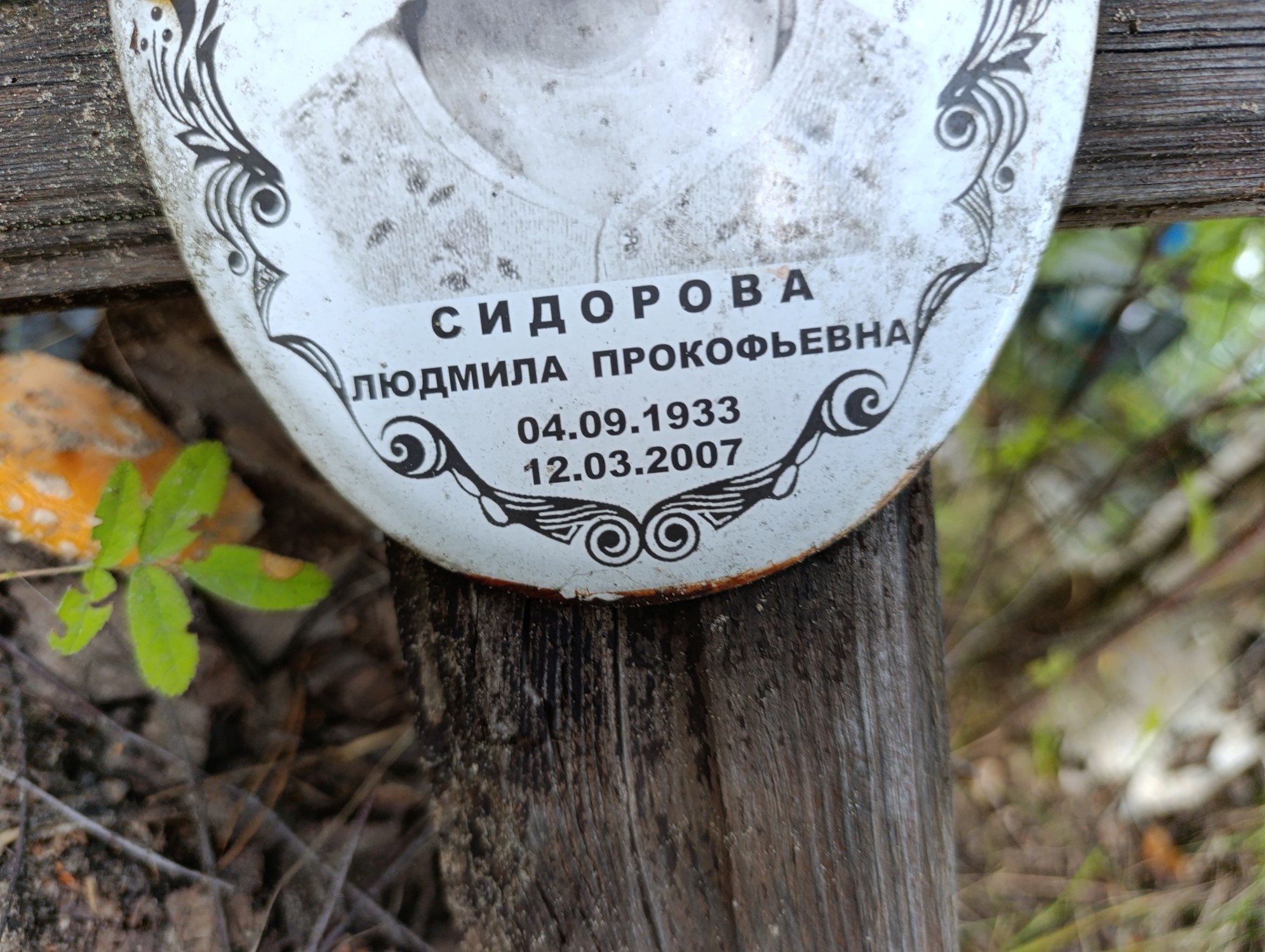 Сидорова Людмила Прокофьевна