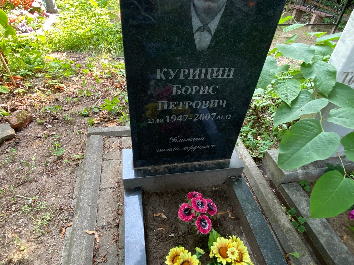 Курицин