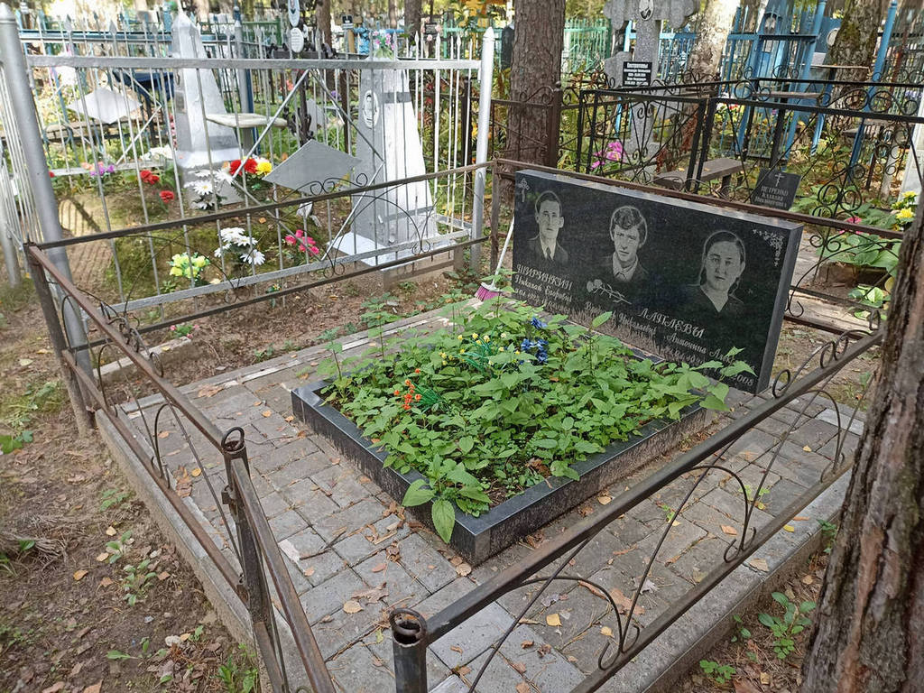 Лапаев Владимир Николаевич