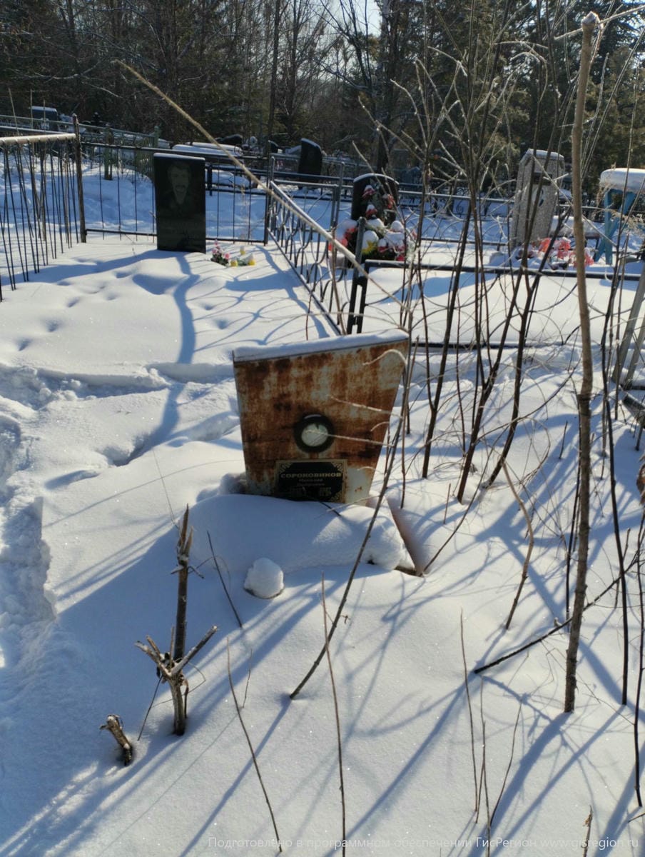 Сороковиков Николай Петрович
